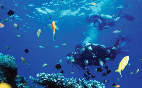 Mahmya Island Day Trip with Snorkeling in Hurghada