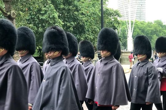 Changing of the Guard Half-Day Private Walking London Tour