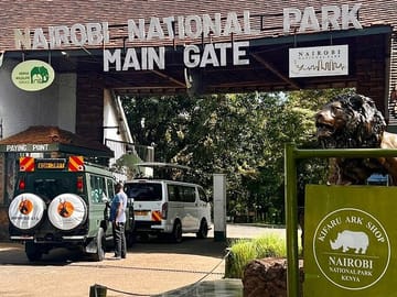 Nairobi Layover Tour: Explore Giraffe Centre and City Highlights