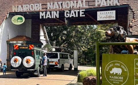 Nairobi Layover Tour: Explore Giraffe Centre and City Highlights
