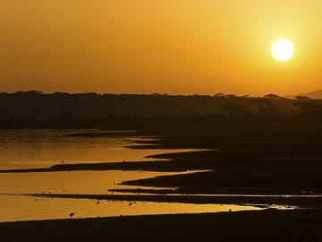 5-Day Great Migration Safari: Central Serengeti & Ndutu Calving Season