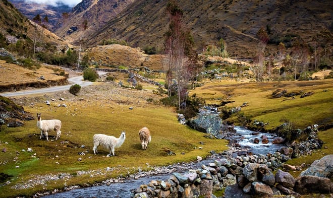 Lares Trek to Machu Picchu 4 days photo 4