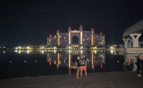 Dubai Night Tour with Dubai Mall Fountain Show Experience