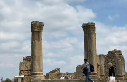 Full-Day Cultural Tour of Meknes and Volubilis from Fes