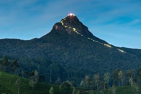 Private Transfer from Colombo to Adam’s Peak Start Point