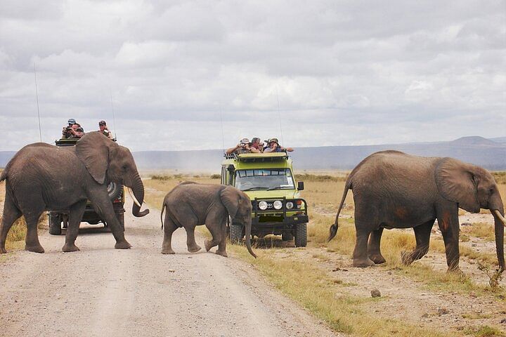 Luxury Lodge Safari in Aberdare National Park: Wildlife & Scenic Views