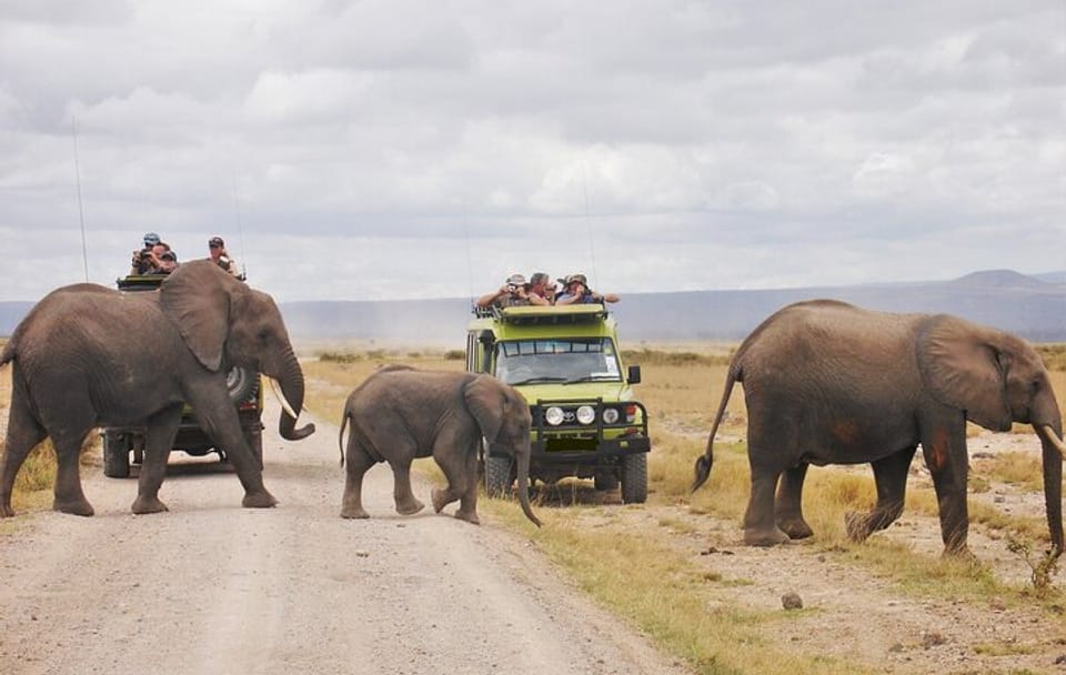 2-Day Luxury Lodge Safari in Aberdare National Park, Kenya