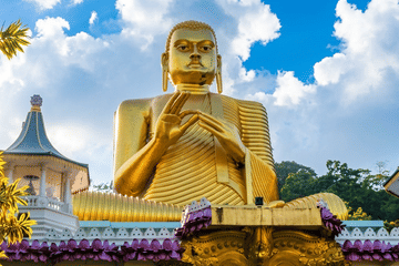 Cultural and Mindful Wellness Tour in Sri Lanka