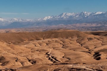 Camel Ride in Agafay Desert from Marrakech