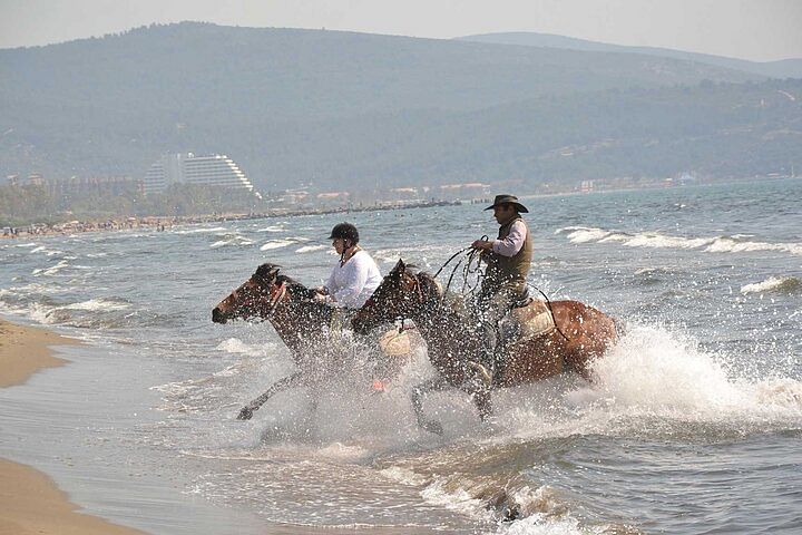 Horseback Riding Adventure in Kusadasi: Scenic Trails & Beach Gallops