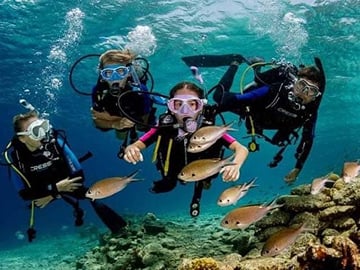 Scuba Diving Day Trip in Hurghada “Beginner”