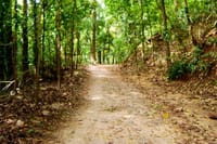 Bird watching & trekking in Udawatta Kele Sanctuary 6