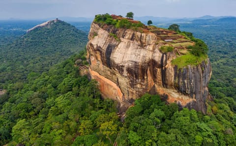 11-Day Wildlife and Adventure Tour in Colombo, Sri Lanka