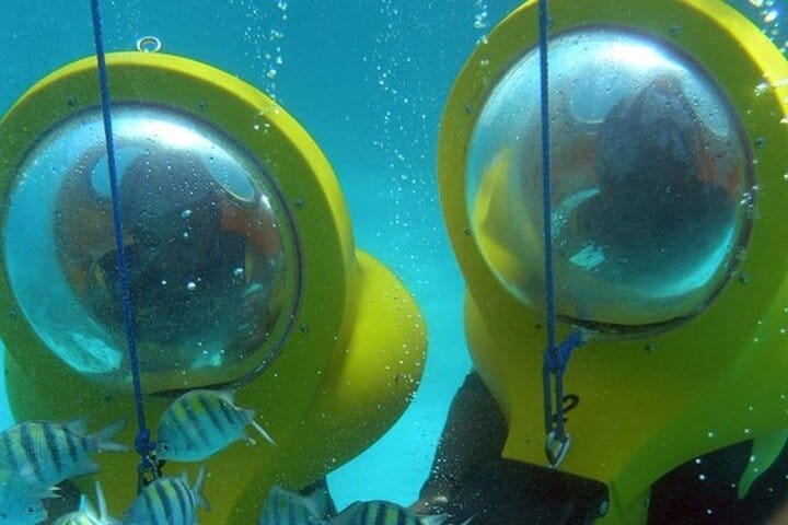 5 tours in 1 (Eco Farm/Horseback/City Tour/Buggy/Zipline)