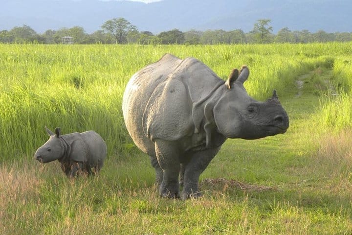 Assam & Arunachal The Buddhist Monasteries & Tribal Culture Tour