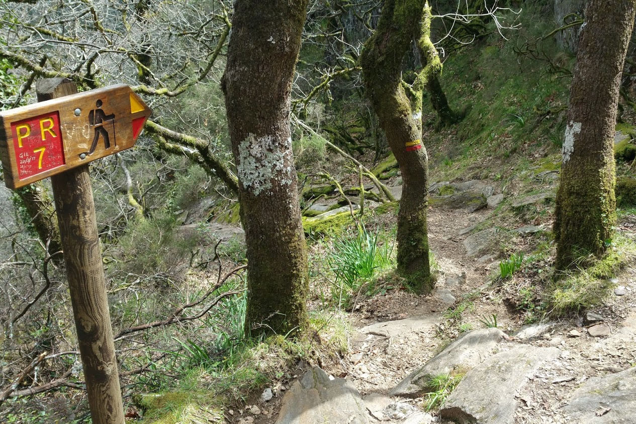 The trail to the Frecha da Mizarela Waterfall offers a path through the region's terrain.