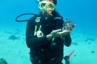 Diving (Baptism) 09:00 6