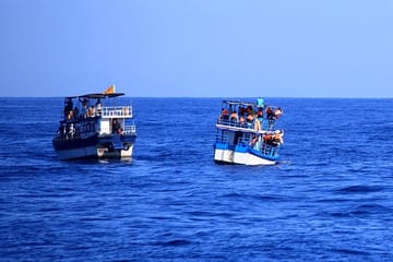 Mirissa Whale Watching Tour From Mirissa