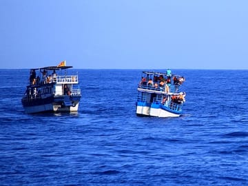 Whale Watching Tour in Mirissa, Sri Lanka