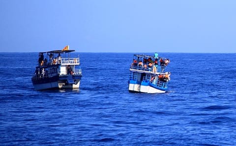 Whale Watching Tour in Mirissa, Sri Lanka
