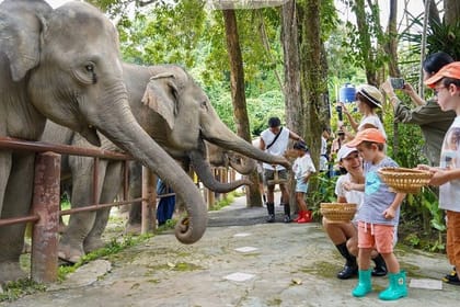 Phuket City Tour & Elephant Sanctuary – Town, Temple, Food & View