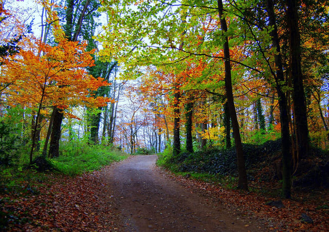 Medieval Villages & La Garrotxa Volcanic Zone Hiking 3