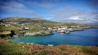 Marine wildlife cruise to Inishturk Island. Galway. Private guided.  6