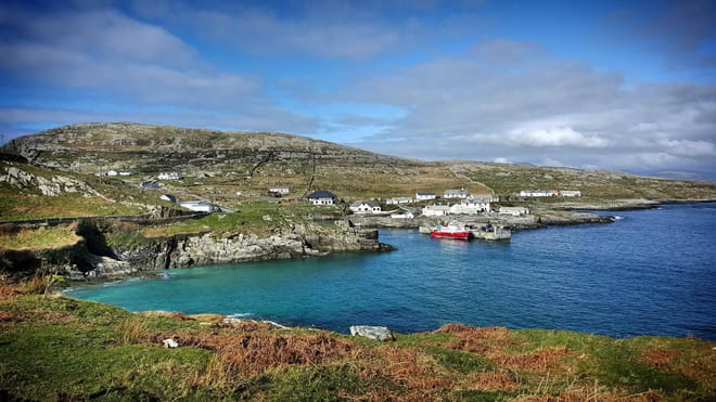 Marine wildlife cruise to Inishturk Island. Galway. Private guided.  6