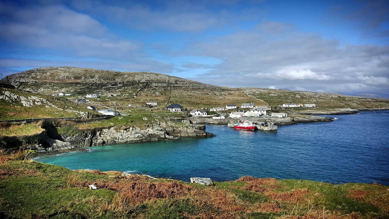 Marine wildlife cruise to Inishturk Island. Galway. Private guided.  6