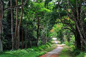 2 days Ninh Binh Cycling Cuc Phuong and Van Long tour