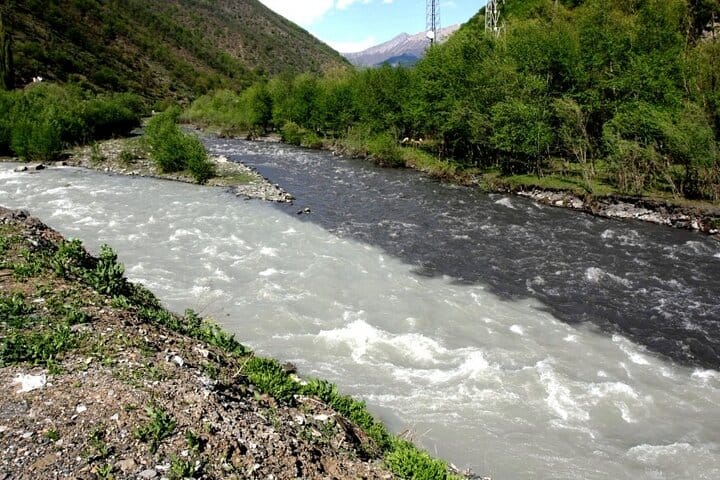 Black and white aragvi