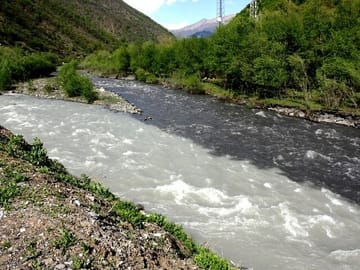 Black and white aragvi