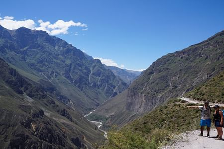 Colca Canyon Trek: Explore Stunning Landscapes and Relaxing Oasis