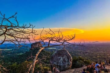 Sigiriya and Dambulla Cave Temple Day Tour from Colombo