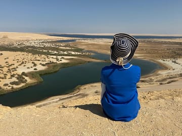 Fayoum Desert Safari and Giza Pyramids Day Tour from Cairo