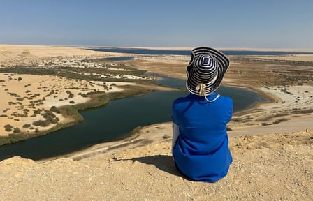 Fayoum Desert Safari and Giza Pyramids Day Tour from Cairo