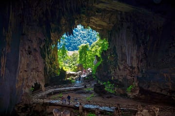 Owls' Cave and Santa Carmen Nature Expedition in Tingo María