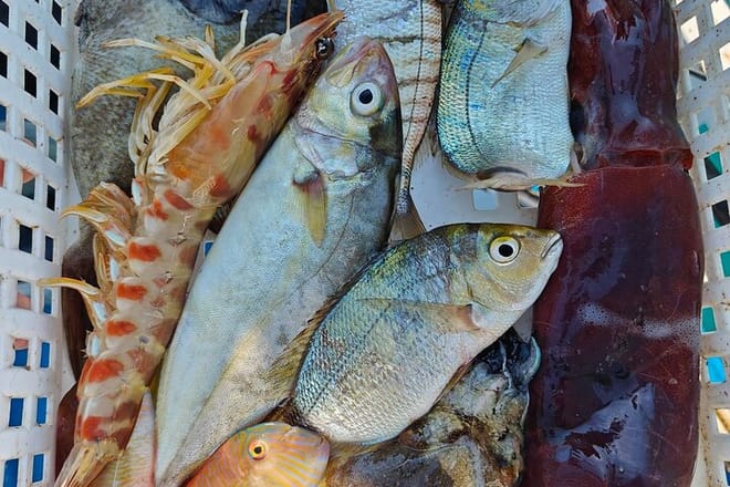 Cefalu: Boat Trip with Fishing, Coastal Tour and Lunch on Board 4