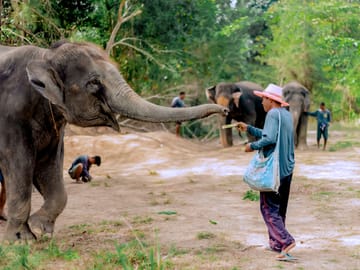 Phuket: Ethical Elephant Sanctuary Experience