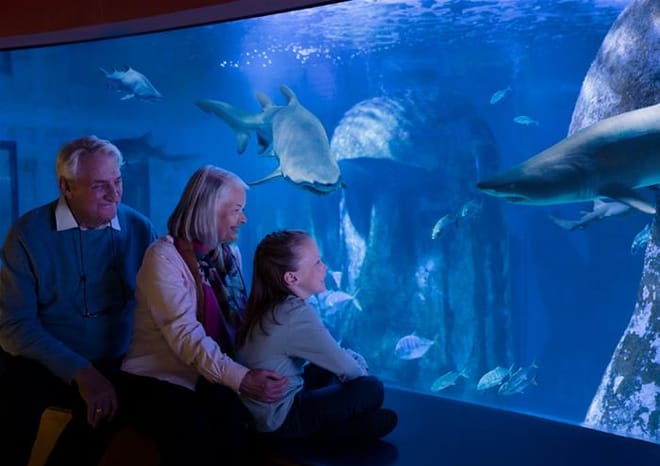 SEA LIFE London Aquarium Advance Ticket