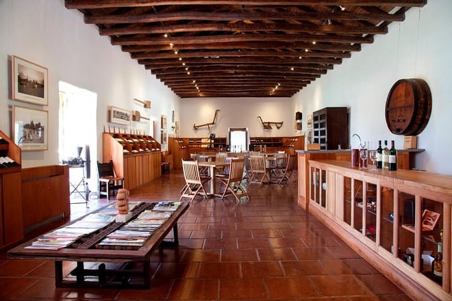 Small-Group Maipo Vineyards Full-Day Experience with Optional Lunch photo 5