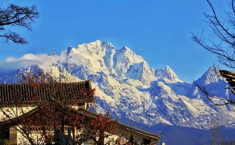 4-Day Private Tour of Kunming, Dali, and Lijiang from Shanghai