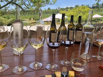 Private Wine Tasting Tour in Stellenbosch and Franschhoek