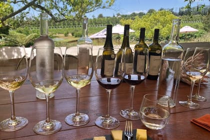 Private Tour to 20 Wine Tasting in Stellenbosch and Franschhoek