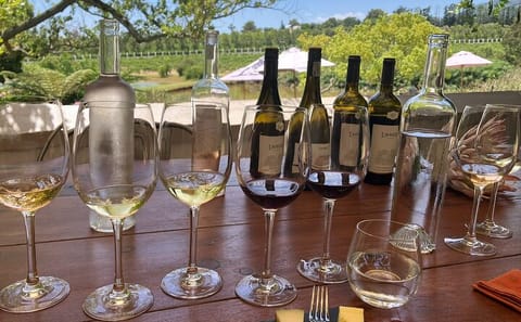 Private Wine Tasting Tour in Stellenbosch and Franschhoek