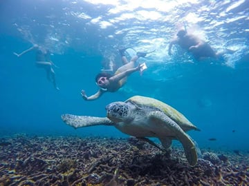 Koh Tao & Koh Nang Yuan Snorkel