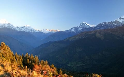 Ghorepani Poon Hill Jeep Drive and Trek from Kathmandu