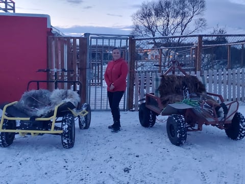 Dog-cart ride in Akureyri, photo 2