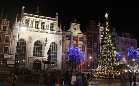 Private Walking Tour of Gdańsk Christmas Market