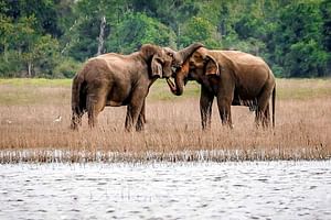 Maduru Oya National Park Private Safari with Naturalist